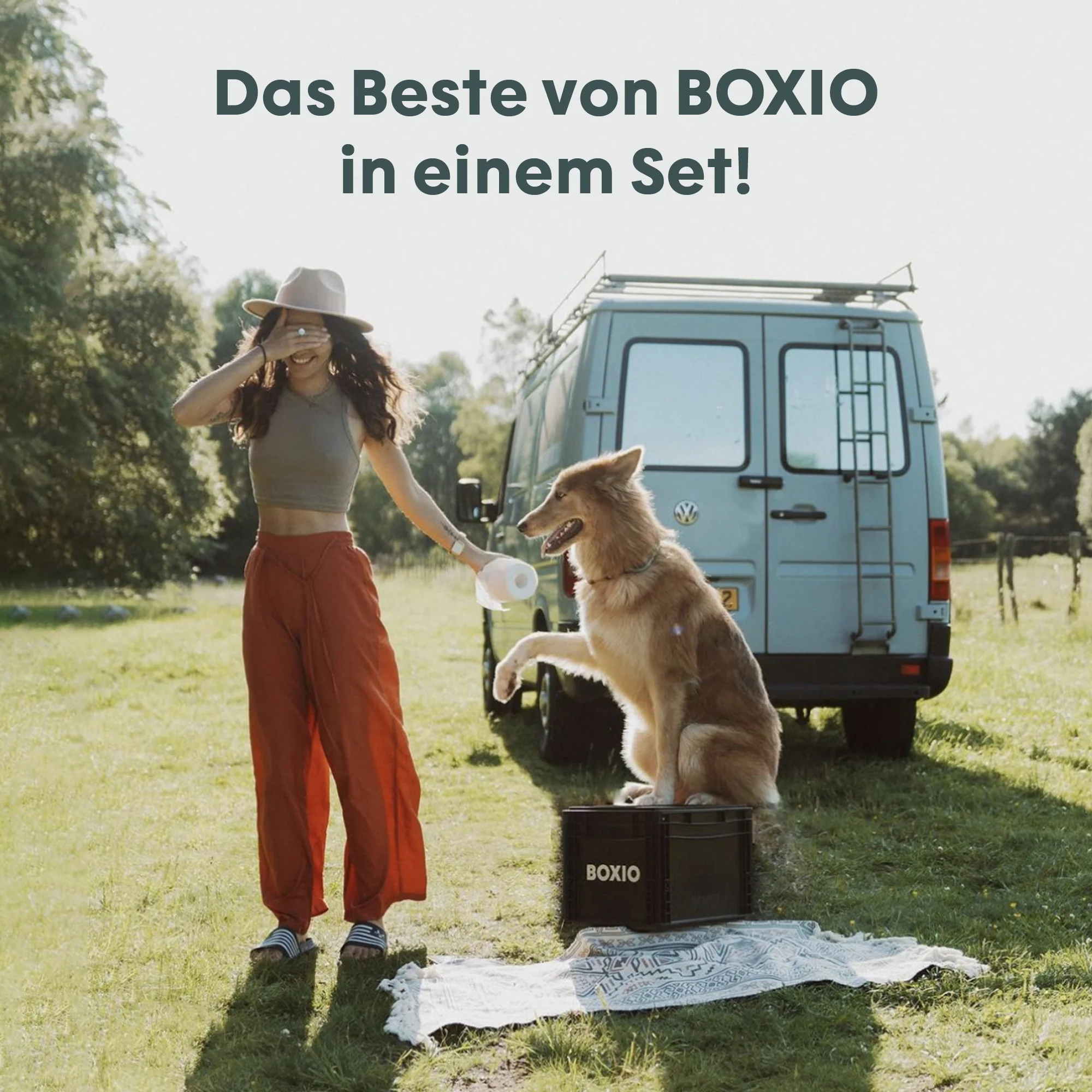 Vorschaubild 7